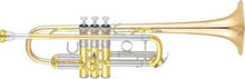 Load image into Gallery viewer, This is a trumpet
